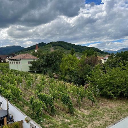 Alsacebnb - Gite 12 Personnes Dans Le Vignoble - Piscine Privee & Spa Ammerschwihr Zewnętrze zdjęcie