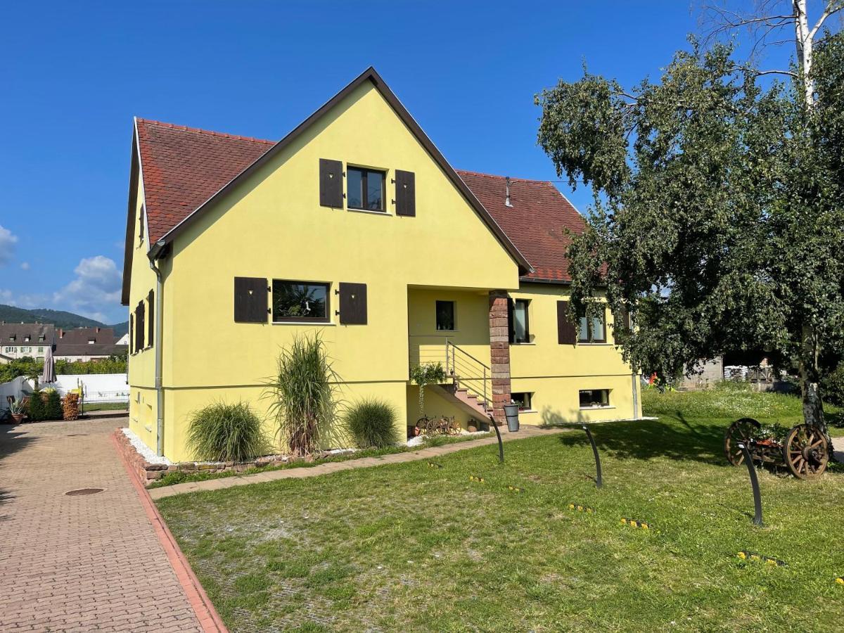 Alsacebnb - Gite 12 Personnes Dans Le Vignoble - Piscine Privee & Spa Ammerschwihr Zewnętrze zdjęcie