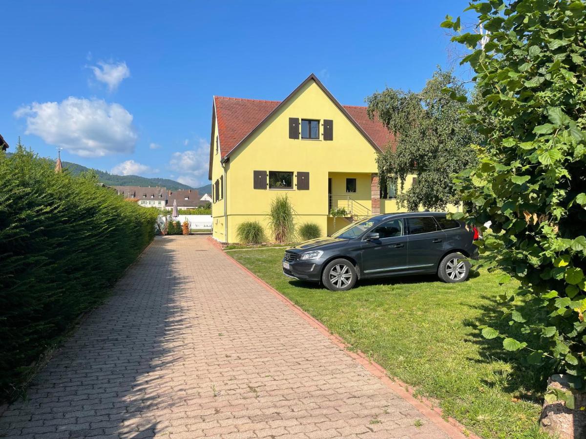 Alsacebnb - Gite 12 Personnes Dans Le Vignoble - Piscine Privee & Spa Ammerschwihr Zewnętrze zdjęcie
