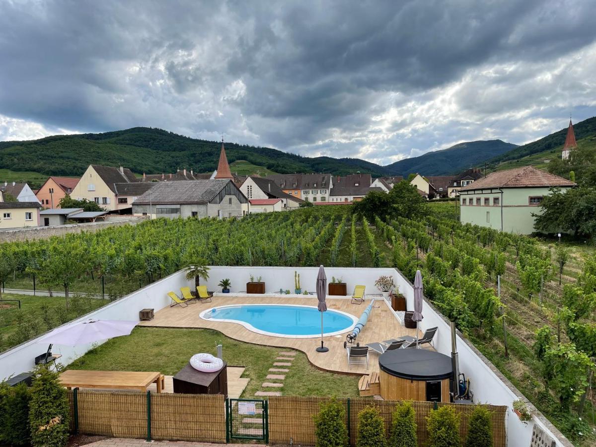 Alsacebnb - Gite 12 Personnes Dans Le Vignoble - Piscine Privee & Spa Ammerschwihr Zewnętrze zdjęcie